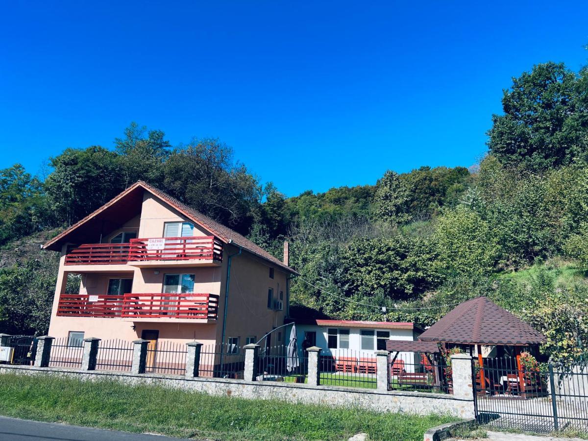 Pensiunea Ilarie Ocnele Mari Exterior foto